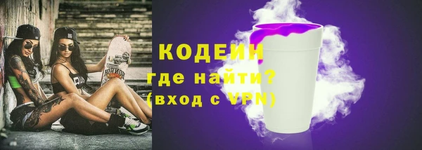 гашик Бородино
