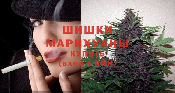 сатива Бугульма