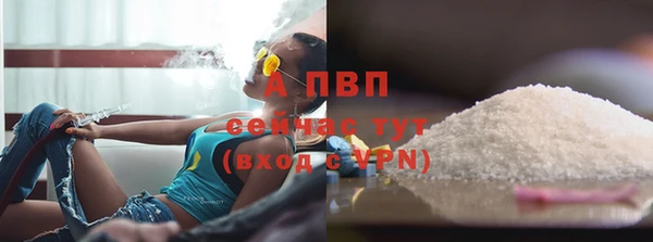 сатива Бугульма