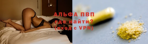 гашик Бородино