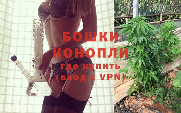 гашик Бородино