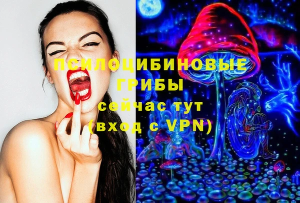 гашик Бородино