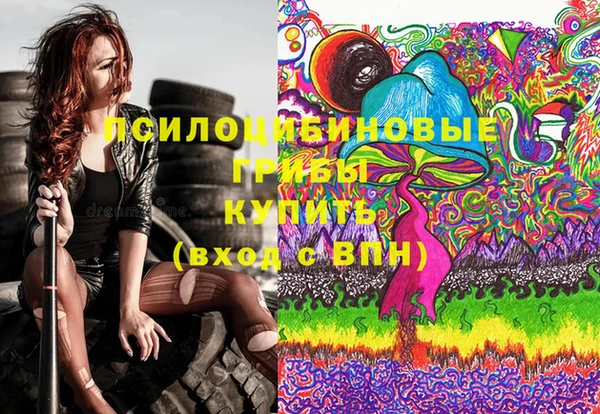 сатива Бугульма