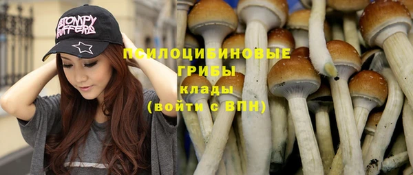 гашик Бородино