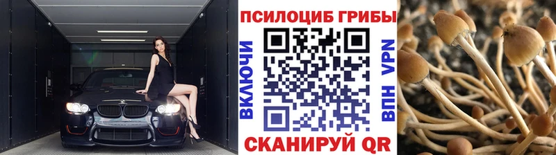 что такое наркотик  Гай  OMG зеркало  Псилоцибиновые грибы прущие грибы 